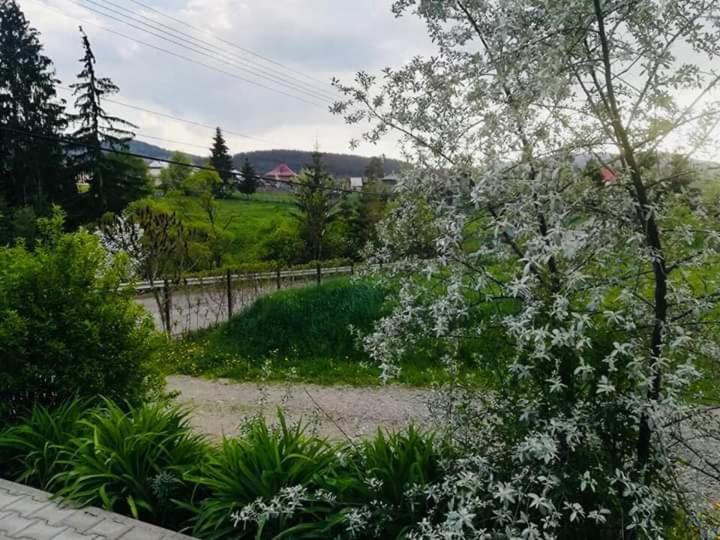Pensiunea Valurile Bistritei Vatra Dornei Exterior foto