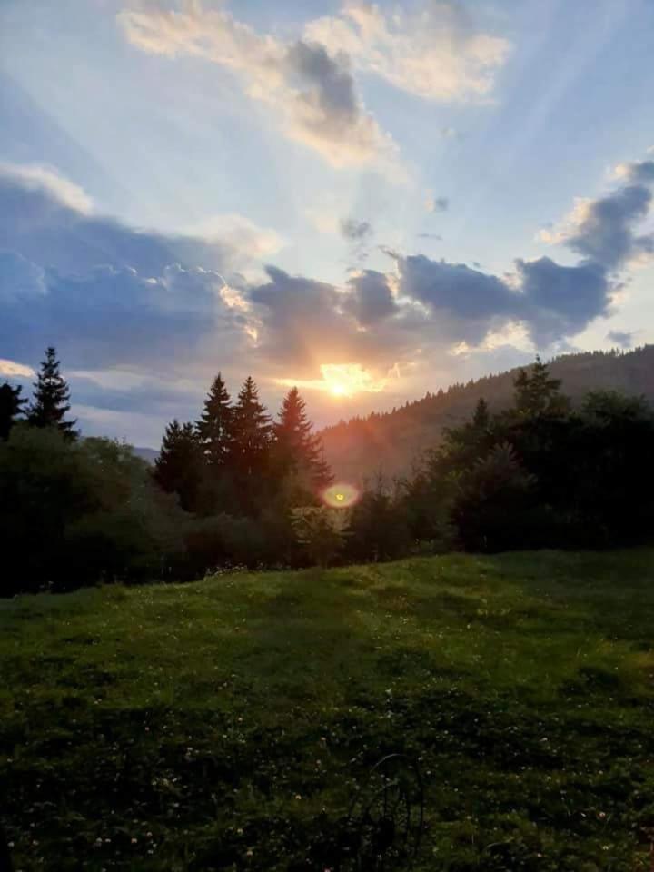 Pensiunea Valurile Bistritei Vatra Dornei Exterior foto